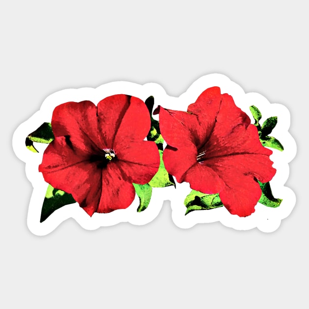 Petunias - Two Red Petunias Sticker by SusanSavad